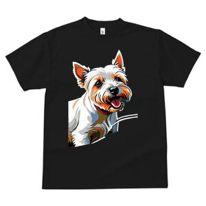 EGXgnChzCgeA TVc Y LbY t@  t  vg JWA 킢 lԗp h ̃fUC ʔ EGXgnChzCge