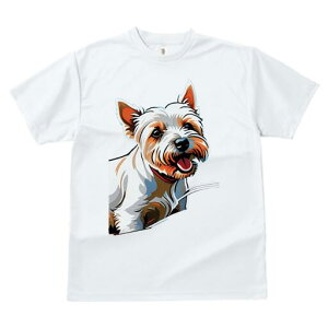 EGXgnChzCgeA TVc fB[X t@  t  vg JWA 킢 lԗp h ̃fUC ʔ EGXgnChzCgeA