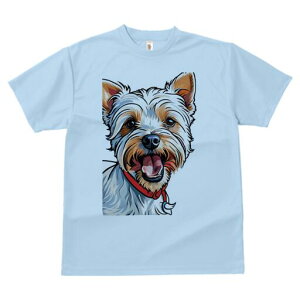 [NV[eA TVc fB[X t@  t  vg JWA 킢 lԗp h ̃fUC ʔ  [NV[eA ybg  