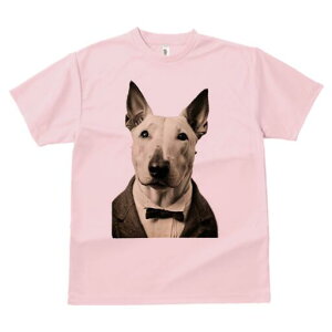 ueA TVc fB[X t@  t  vg JWA 킢 lԗp h ̃fUC ʔ lN^C ueA X[c