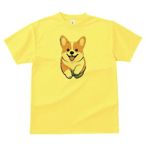 R[M[ TVc fB[X t@  t  vg JWA 킢 lԗp h ̃fUC ʔ R[M[