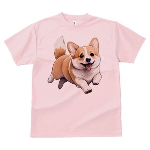 R[M[ TVc fB[X t@  t  vg JWA 킢 lԗp h ̃fUC ʔ 킢 R[M[ Ί  