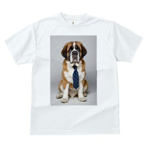 Zgo[i[h TVc fB[X t@  t  vg JWA 킢 lԗp h ̃fUC ʔ lN^C Zgo[i[h