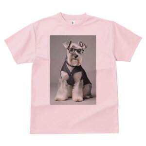 ~j`AViEU[ TVc Y LbY t@  t  vg JWA 킢 lԗp h ̃fUC ʔ Kl ~j`AViEU[ xXg