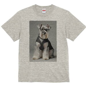 ~j`AViEU[ TVc Y LbY t@  t  vg JWA 킢 lԗp h ̃fUC ʔ Kl ~j`AViEU[ xXg