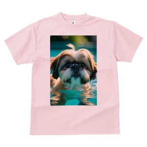 V[Y[ TVc fB[X t@  t  vg JWA 킢 lԗp h ̃fUC ʔ  V[Y[ v[