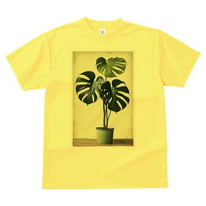 T�V���c ���f�B�[�X ���t�@�� ���� �t�� ���� �v�����g �J�W���A�� ���킢�� �l�ԗp ���h ���������̃f�U�C�� �ʔ� �����X�e�� �ϗt�A�� ���A�� �C���e���A �O���[��