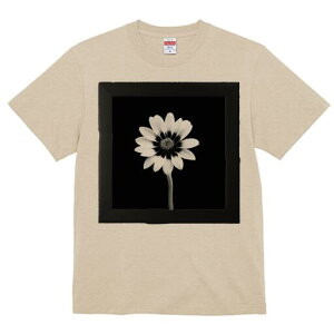 TVc Y LbY t@  t  vg JWA 킢 lԗp h ̃fUC ʔ  mN t[