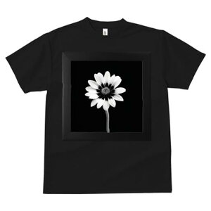 TVc Y LbY t@  t  vg JWA 킢 lԗp h ̃fUC ʔ  mN t[