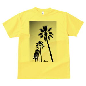 TVc fB[X t@  t  vg JWA 킢 lԗp h ̃fUC ʔ V̖ VGbg  gsJ r[`