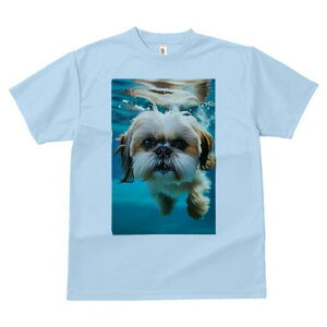 V[Y[ TVc fB[X t@  t  vg JWA 킢 lԗp h ̃fUC ʔ  V[Y[ 