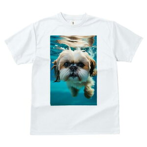 V[Y[ TVc fB[X t@  t  vg JWA 킢 lԗp h ̃fUC ʔ  V[Y[ 