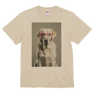 uh[go[ TVc Y LbY t@  t  vg JWA 킢 lԗp h ̃fUC ʔ Kl uh[go[