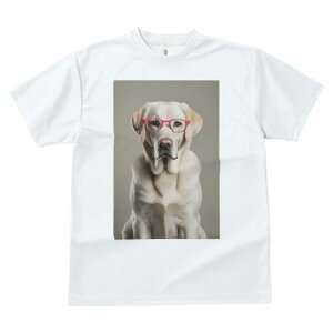 uh[go[ TVc Y LbY t@  t  vg JWA 킢 lԗp h ̃fUC ʔ Kl uh[go[