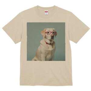 uh[go[ TVc fB[X t@  t  vg JWA 킢 lԗp h ̃fUC ʔ Kl uh[go[ 