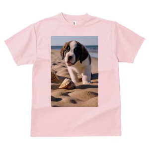 Zgo[i[h TVc fB[X t@  t  vg JWA 킢 lԗp h ̃fUC ʔ r[` Zgo[i[h  Lk