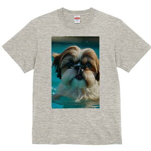 V[Y[ TVc fB[X t@  t  vg JWA 킢 lԗp h ̃fUC ʔ  V[Y[ v[