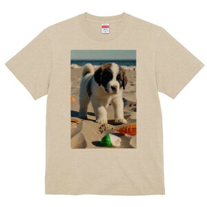 Zgo[i[h TVc fB[X t@  t  vg JWA 킢 lԗp h ̃fUC ʔ r[` Zgo[i[h C  