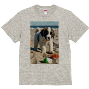 Zgo[i[h TVc fB[X t@  t  vg JWA 킢 lԗp h ̃fUC ʔ r[` Zgo[i[h C  