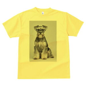 ~j`AViEU[ TVc fB[X t@  t  vg JWA 킢 lԗp h ̃fUC ʔ Kl ~j`AViEU[