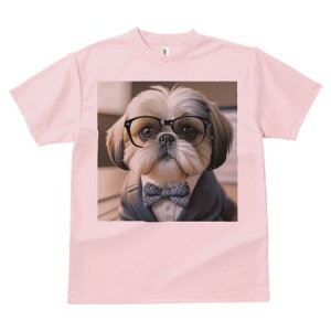 V[Y[ TVc fB[X t@  t  vg JWA 킢 lԗp h ̃fUC ʔ lN^C V[Y[ X[c ዾ