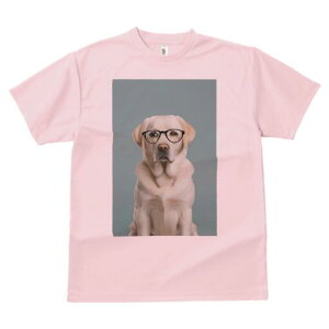 uh[go[ TVc fB[X t@  t  vg JWA 킢 lԗp h ̃fUC ʔ Kl uh[go[