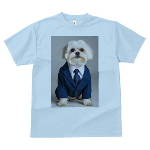 }`[Y TVc fB[X t@  t  vg JWA 킢 lԗp h ̃fUC ʔ X[c }`[Y lN^C Vc