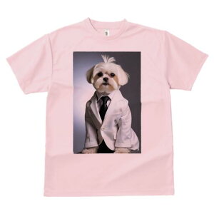 }`[Y TVc fB[X t@  t  vg JWA 킢 lԗp h ̃fUC ʔ X[c }`[Y lN^C