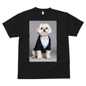 }`[Y TVc fB[X t@  t  vg JWA 킢 lԗp h ̃fUC ʔ X[c }`[Y lN^C rWlX