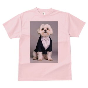 }`[Y TVc fB[X t@  t  vg JWA 킢 lԗp h ̃fUC ʔ X[c }`[Y lN^C rWlX