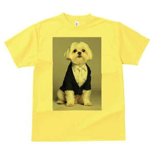 }`[Y TVc fB[X t@  t  vg JWA 킢 lԗp h ̃fUC ʔ X[c }`[Y lN^C rWlX