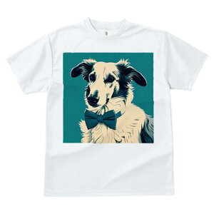 {]C TVc fB[X t@  t  vg JWA 킢 lԗp h ̃fUC ʔ lN^C {]C