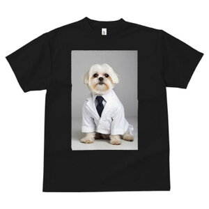 V[Y[ TVc Y LbY t@  t  vg JWA 킢 lԗp h ̃fUC ʔ  V[Y[ lN^C