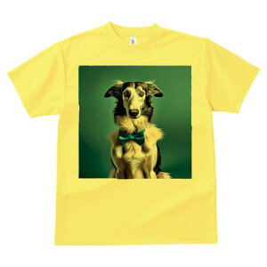 {]C TVc fB[X t@  t  vg JWA 킢 lԗp h ̃fUC ʔ lN^C {]C