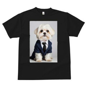 }`[Y TVc fB[X t@  t  vg JWA 킢 lԗp h ̃fUC ʔ X[c }`[Y lN^C rWlX