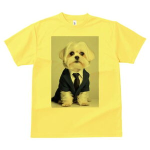 }`[Y TVc fB[X t@  t  vg JWA 킢 lԗp h ̃fUC ʔ X[c }`[Y lN^C rWlX