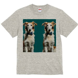 {]C TVc fB[X t@  t  vg JWA 킢 lԗp h ̃fUC ʔ lN^C {]C