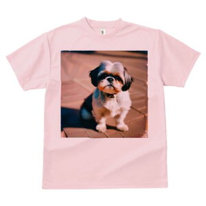 V[Y[ TVc fB[X t@  t  vg JWA 킢 lԗp h ̃fUC ʔ V[Y[