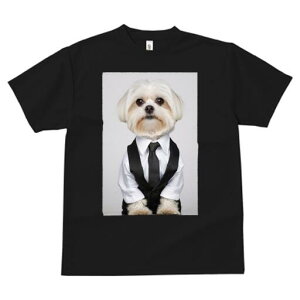 }`[Y TVc fB[X t@  t  vg JWA 킢 lԗp h ̃fUC ʔ X[c }`[Y lN^C Vc