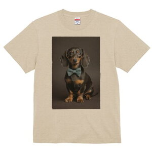 _bNXth TVc fB[X t@  t  vg JWA 킢 lԗp h ̃fUC ʔ lN^C _bNXth