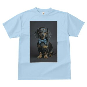 _bNXth TVc fB[X t@  t  vg JWA 킢 lԗp h ̃fUC ʔ lN^C _bNXth