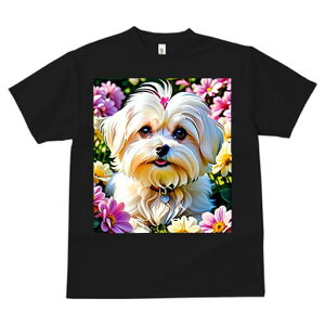 }`[Y TVc fB[X t@  t  vg JWA 킢 lԗp h ̃fUC ʔ  }`[Y 킢