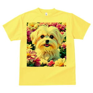 }`[Y TVc fB[X t@  t  vg JWA 킢 lԗp h ̃fUC ʔ  }`[Y  |bv