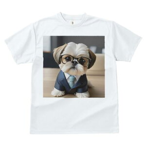 V[Y[ TVc fB[X t@  t  vg JWA 킢 lԗp h ̃fUC ʔ X[c V[Y[ lN^C Kl