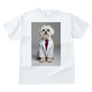 }`[Y TVc fB[X t@  t  vg JWA 킢 lԗp h ̃fUC ʔ lN^C }`[Y X[c