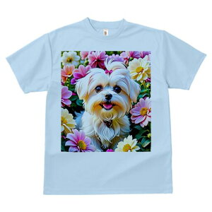 }`[Y TVc fB[X t@  t  vg JWA 킢 lԗp h ̃fUC ʔ  }`[Y sN  F