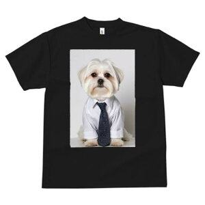 }`[Y TVc fB[X t@  t  vg JWA 킢 lԗp h ̃fUC ʔ CVc }`[Y lN^C