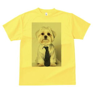 }`[Y TVc fB[X t@  t  vg JWA 킢 lԗp h ̃fUC ʔ CVc }`[Y lN^C