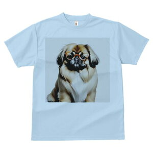 yLj[Y TVc fB[X t@  t  vg JWA 킢 lԗp h ̃fUC ʔ Kl yLj[Y