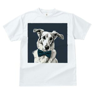 {]C TVc fB[X t@  t  vg JWA 킢 lԗp h ̃fUC ʔ lN^C {]C